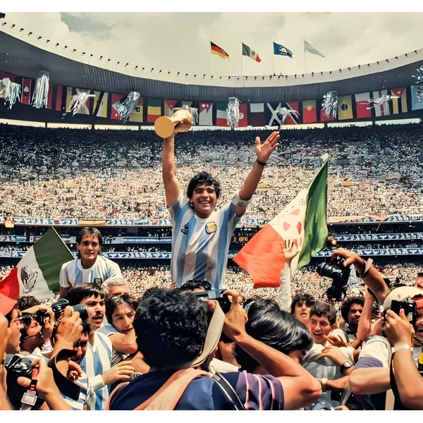 必一运动 APP(bonesports)